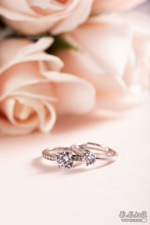 珠宝首饰的摄影艺术 捕捉闪耀瞬间的技巧